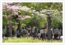 都立公園や庭園、水上バスなどの情報サイト「公園へ行こう!」の特徴をお聞かせ下さい。