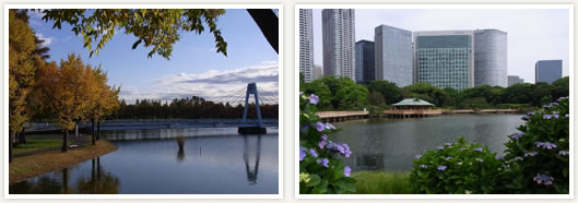 公益財団法人東京都公園協会