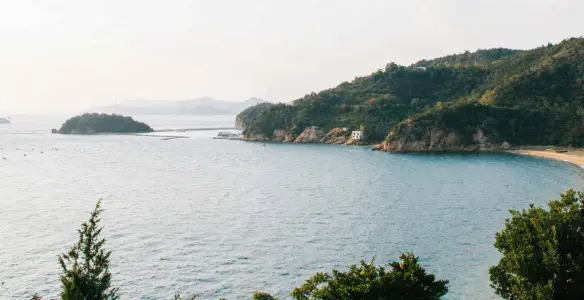 株式会社直島文化村様